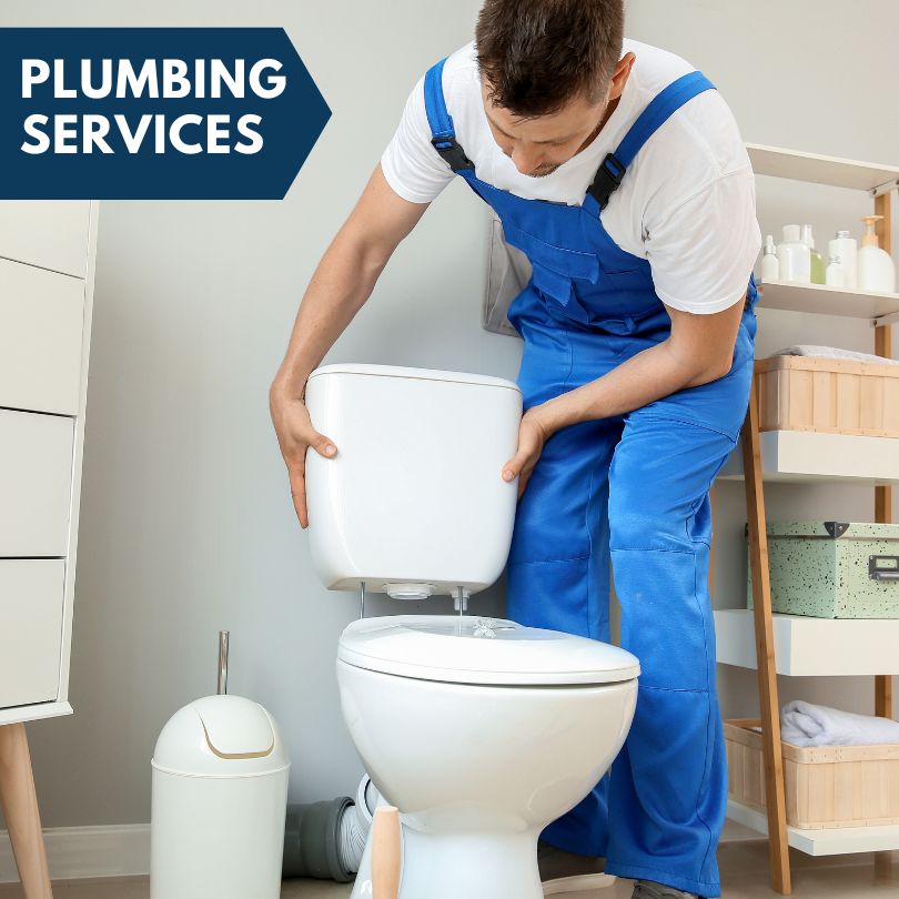 Plumbing Company in Onondaga, MI